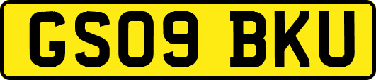 GS09BKU