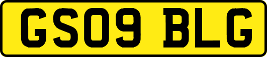 GS09BLG