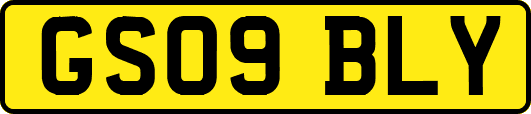 GS09BLY