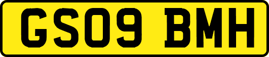 GS09BMH