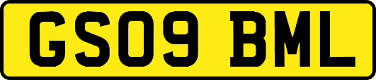 GS09BML