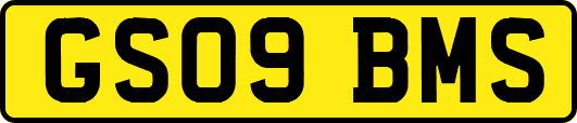GS09BMS