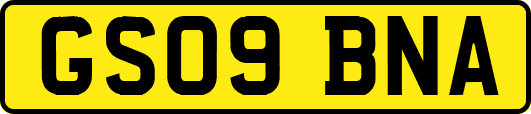 GS09BNA