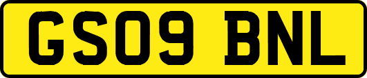 GS09BNL