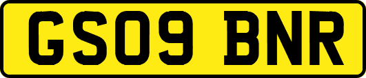 GS09BNR