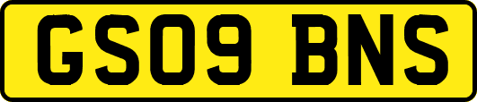 GS09BNS