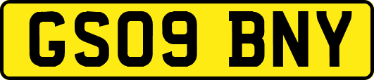 GS09BNY
