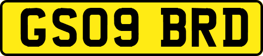 GS09BRD
