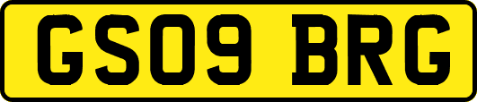 GS09BRG