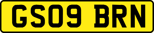 GS09BRN
