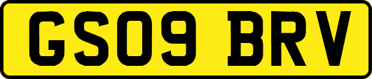 GS09BRV