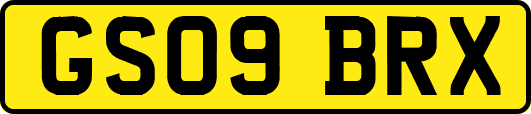 GS09BRX