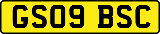 GS09BSC