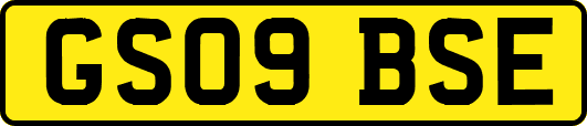 GS09BSE