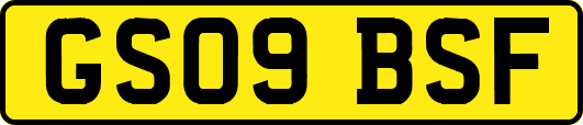 GS09BSF