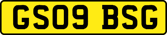 GS09BSG