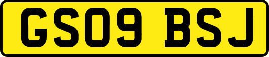 GS09BSJ