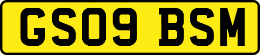 GS09BSM