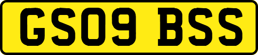 GS09BSS
