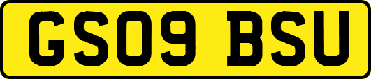 GS09BSU
