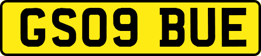 GS09BUE