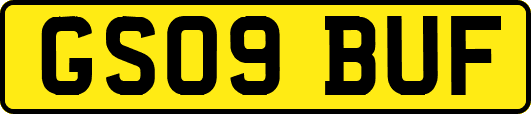 GS09BUF