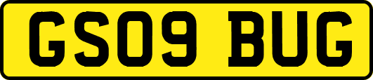 GS09BUG