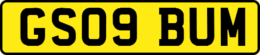GS09BUM
