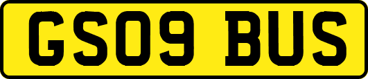 GS09BUS