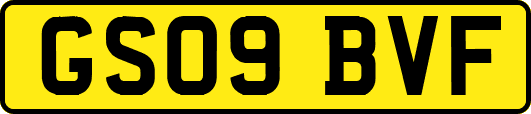 GS09BVF