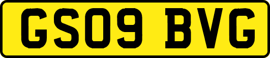 GS09BVG