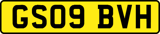 GS09BVH