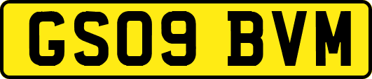 GS09BVM