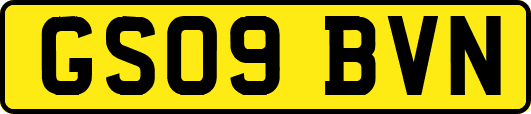 GS09BVN