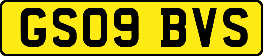 GS09BVS