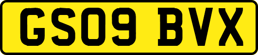 GS09BVX