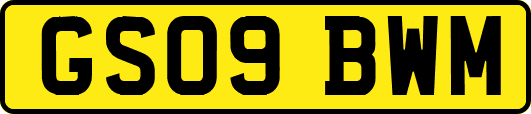 GS09BWM