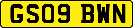 GS09BWN