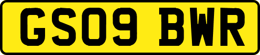 GS09BWR