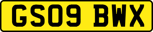 GS09BWX