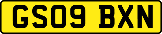 GS09BXN