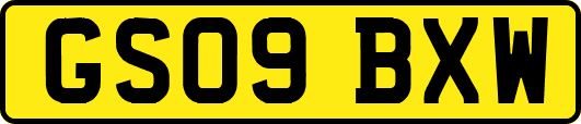 GS09BXW