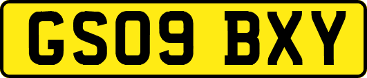 GS09BXY