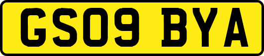 GS09BYA