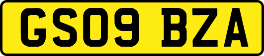 GS09BZA