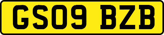GS09BZB