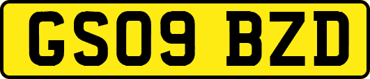 GS09BZD