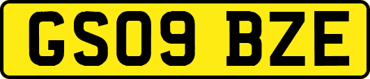 GS09BZE