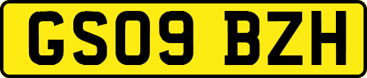 GS09BZH
