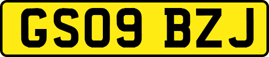 GS09BZJ